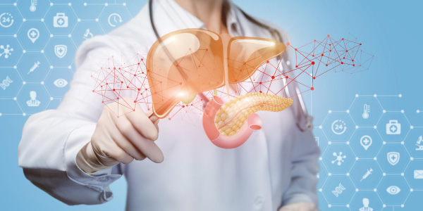 Liver Transplant Cost In India, Functions Of the Liver, Types Of Liver Transplants,  Advantages Of A Liver Transplant, Hospitals for Liver Transplant in India, Risks Associated With Liver Transplant Treatment, Success Rate Of Liver Transplants In India, Questions About Liver Transplants In India