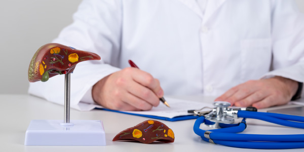 Liver Transplant Cost In India, Functions Of the Liver, Types Of Liver Transplants,  Advantages Of A Liver Transplant, Hospitals for Liver Transplant in India, Risks Associated With Liver Transplant Treatment, Success Rate Of Liver Transplants In India, Questions About Liver Transplants In India