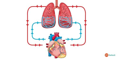 ECMO Treatment In Delhi, ECMO treatment procedure, Cost of ECMO treatment in Delhi, Hospitals For ECMO Treatment In Delhi