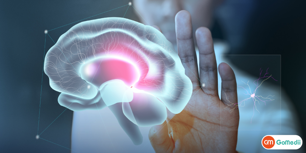 A Guide to Brain Stroke Symptoms and Preventions