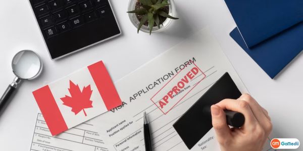 Indian Visa Fees and Medical Visa Service Fees, Types of Visas in India, Check My Visa Status Online, Indian Visa Fees, Indian Medical Visa Fee  Country Wise, Medical Visa From Bangladesh To India, Medical Visa from Nigeria to India, Medical Visa From Kenya to India, Medical Visa From Zambia to India, Medical Visa From Namibia to India, Medical Visa From South Sudan to India, Medical Visa From Tanzania to India, Medical Visa From Uganda to India, Medical Visa From Zimbabwe to India, Medical Visa From Cameroon to India, Medical Visa From Ethiopia to India, Medical Visa From Mozambique to India