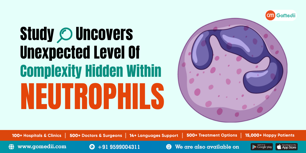 Study Uncovers Unexpected Level Of Complexity Hidden Within Neutrophils -Gomedii