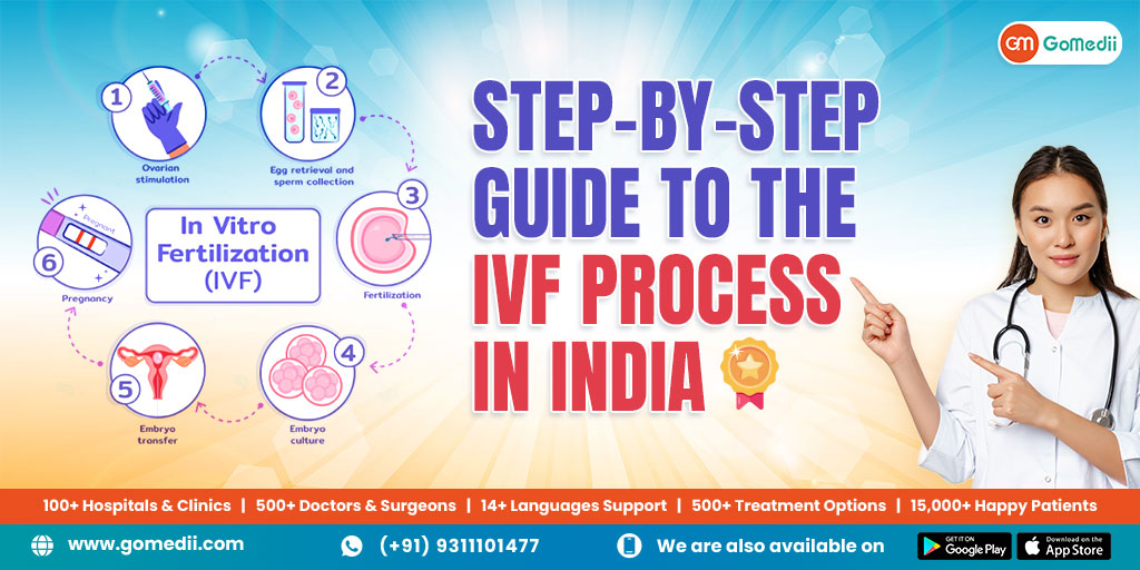 Step-by-Step Guide to the IVF Process in India