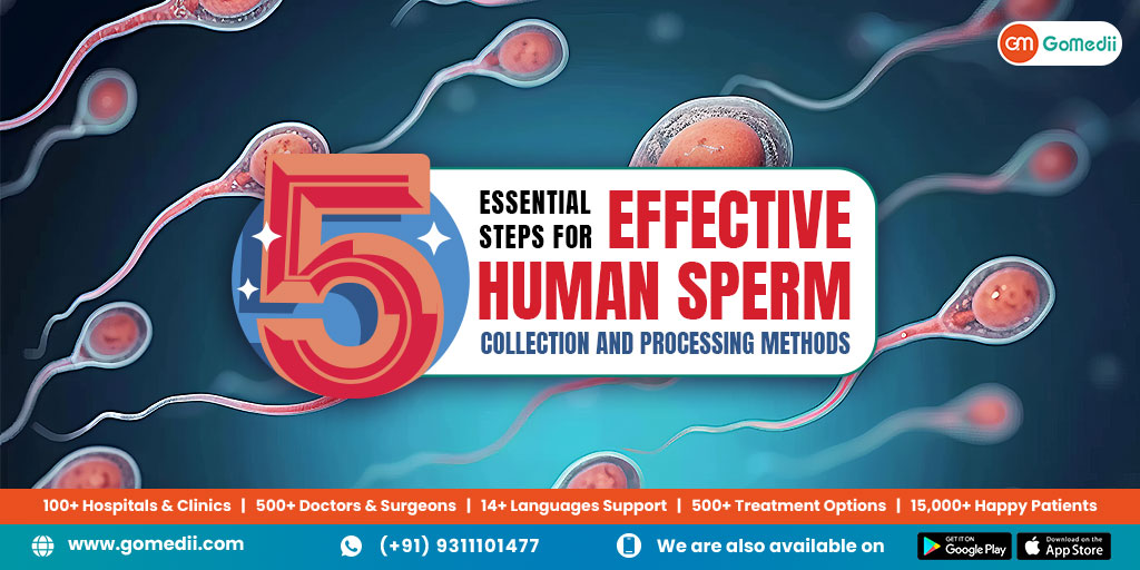5 Essential Steps for Effective Human Sperm Collection and Processing Methods