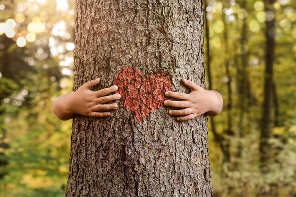 stock-photo-nature-lover-close-up-of-child-hands-hugging-tree-with-copy-space-1358938124.jpg