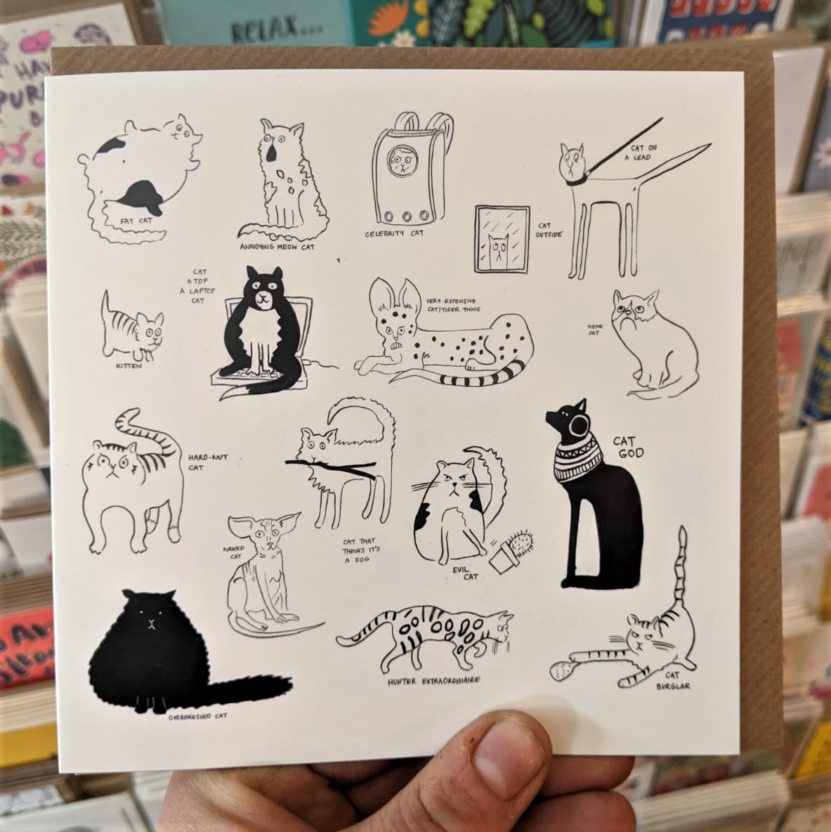 Different Types of Cat - Skyrat image 1