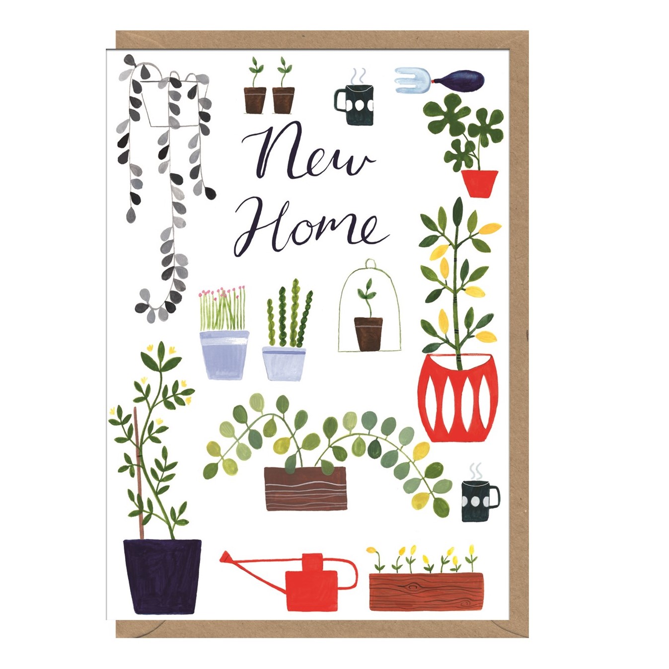 New Home Pot Plants - Earlybird Designs image 1