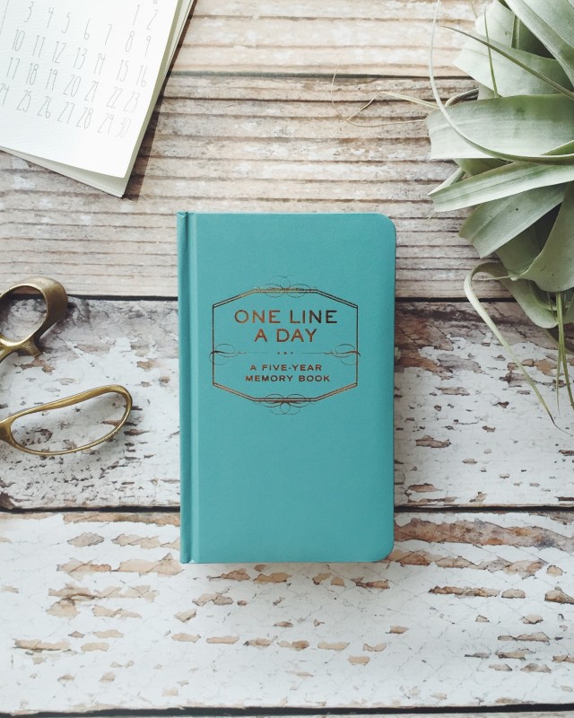 One Line a Day Turquoise - Abrams & Chronicle image 1