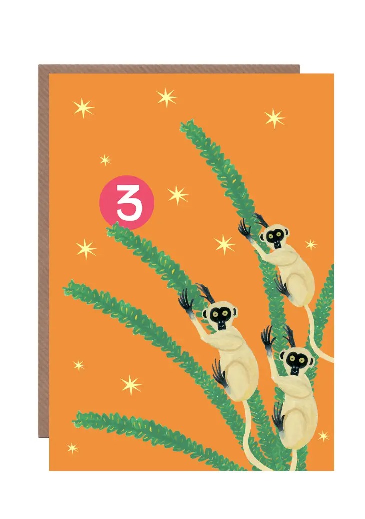 Age 3 Party Lemur Birthday Card - Hutch Cassidy image 1