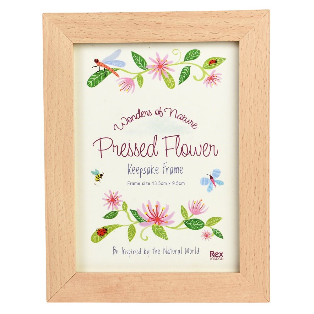 Pressed Flower Keepsake Frame - Rex London image 1