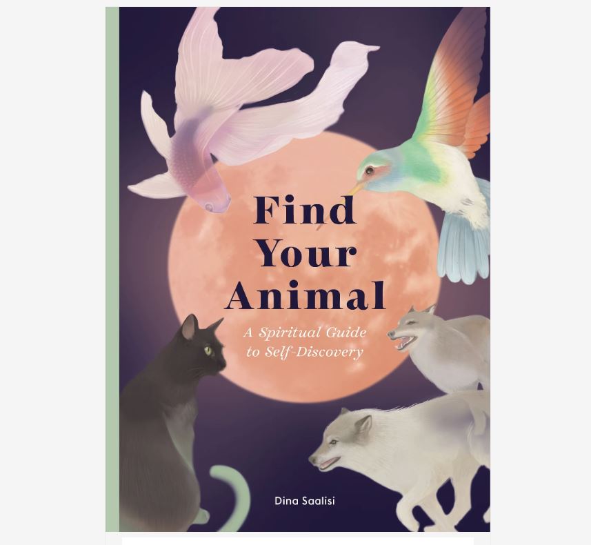 Find Your Animal - Hachette image 1