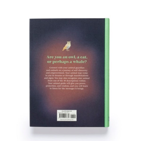 Find Your Animal - Hachette image 2