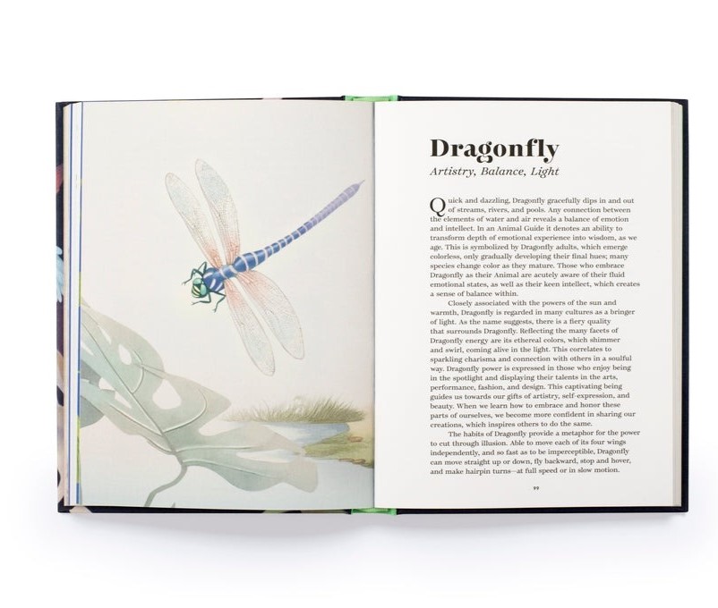 Find Your Animal - Hachette image 3