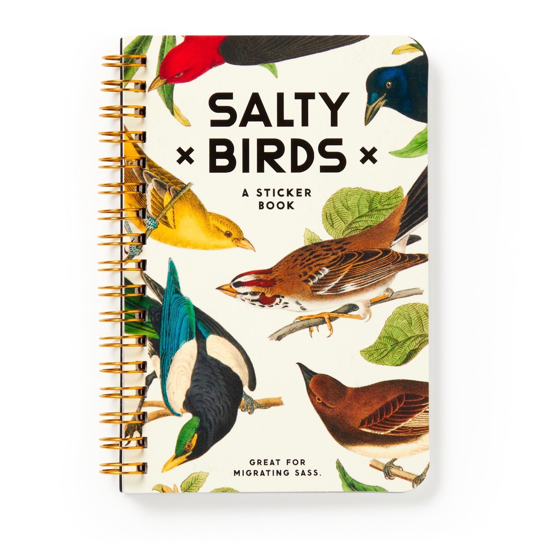 Salty Birds Sticker Book - Abrams & Chronicle image 1