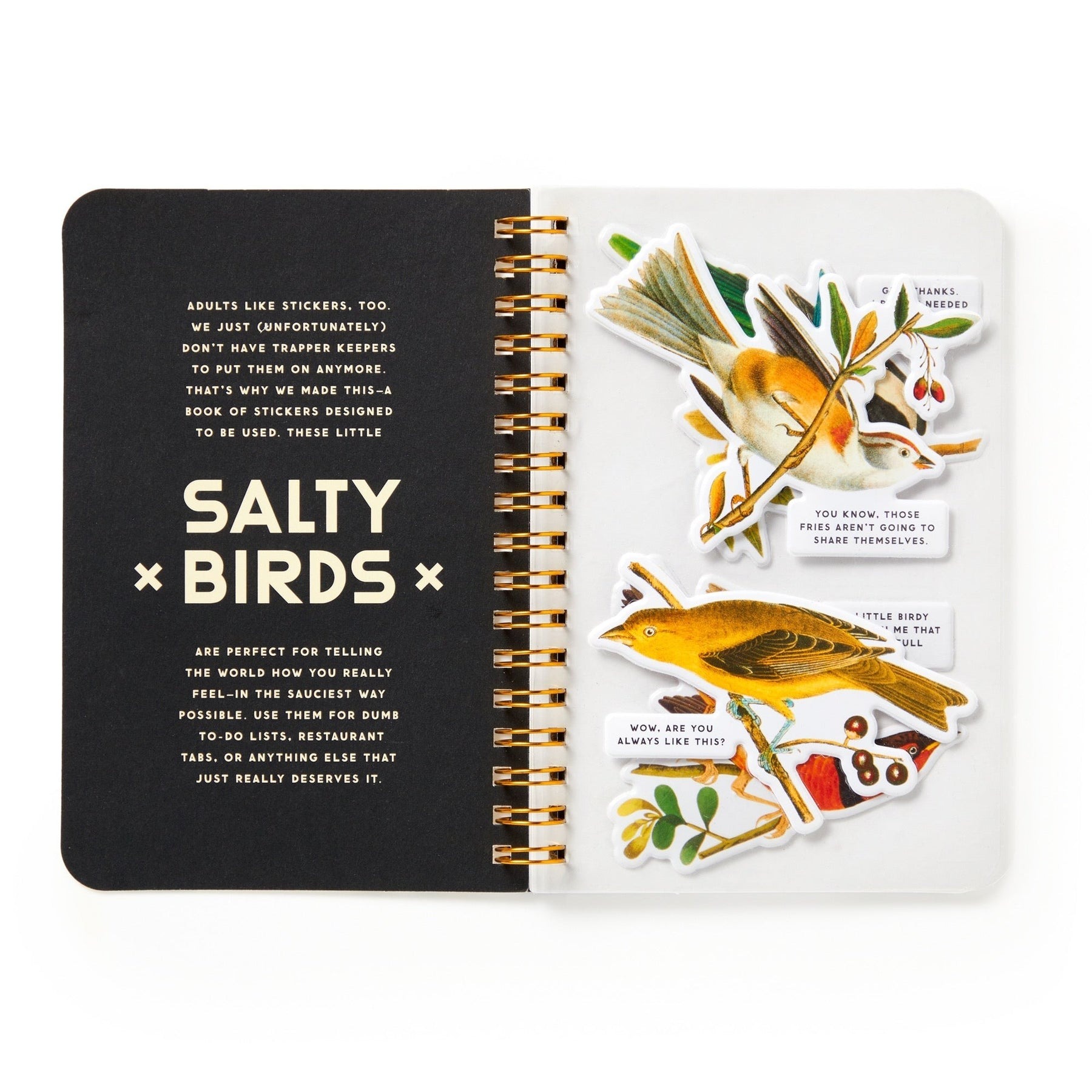 Salty Birds Sticker Book - Abrams & Chronicle image 2