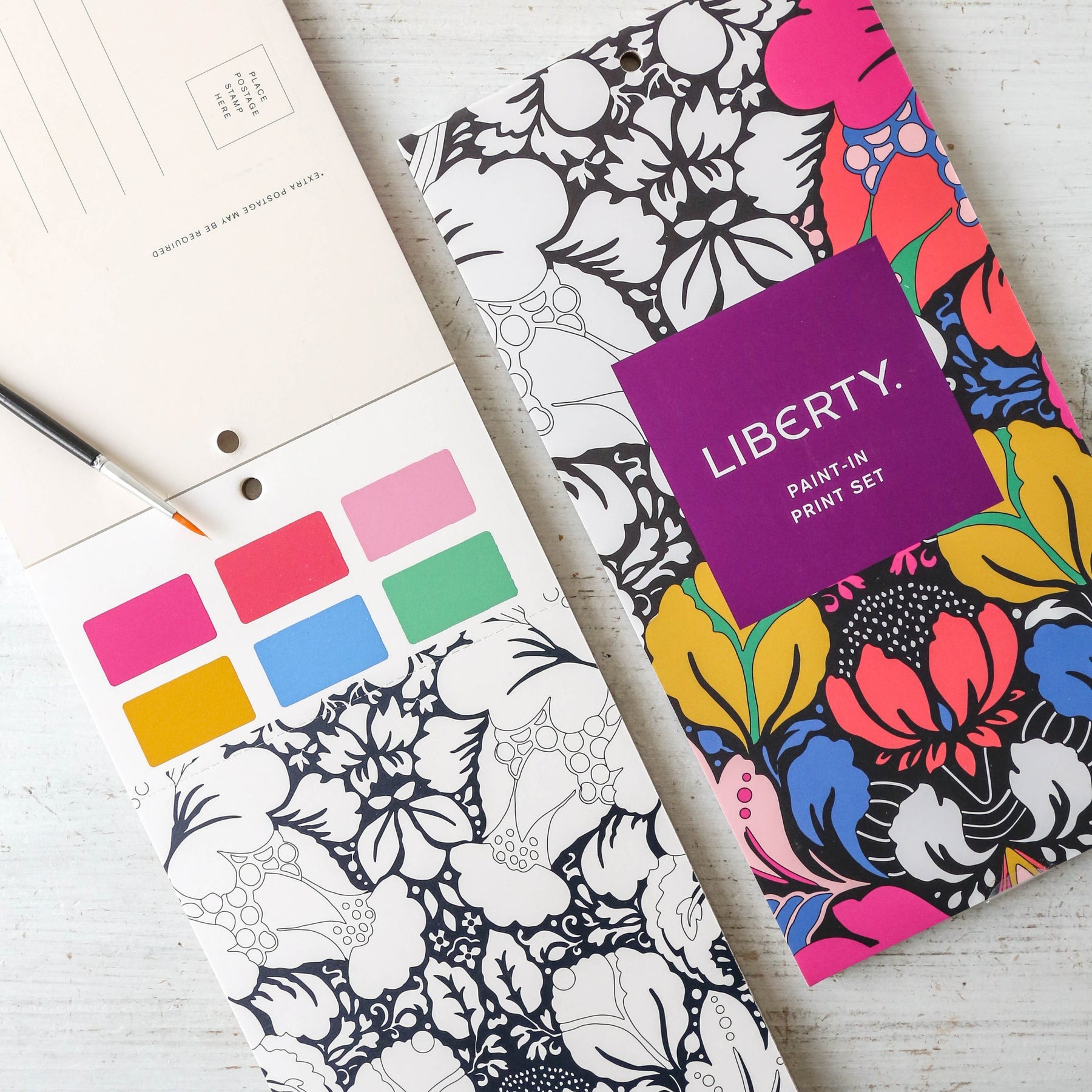 Liberty Paint-In Print Set - Abrams & Chronicle image 1