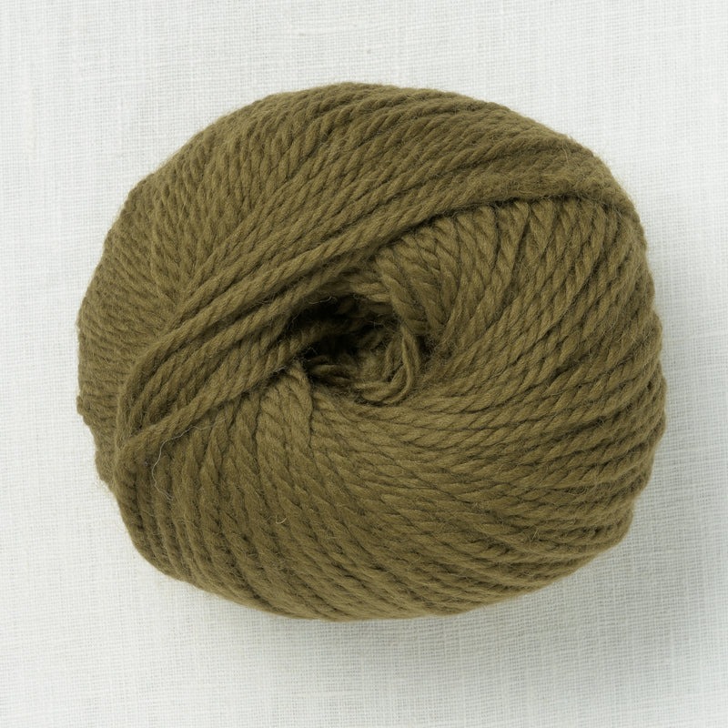 MO Chunky Wool 1x100g Palm - Sirdar - DMC image 1