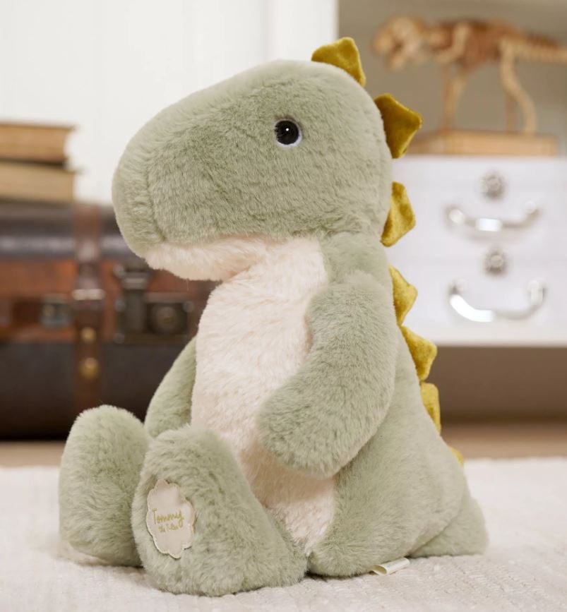 Green Dinosaur Soft Toy - Widdop & Co image 1