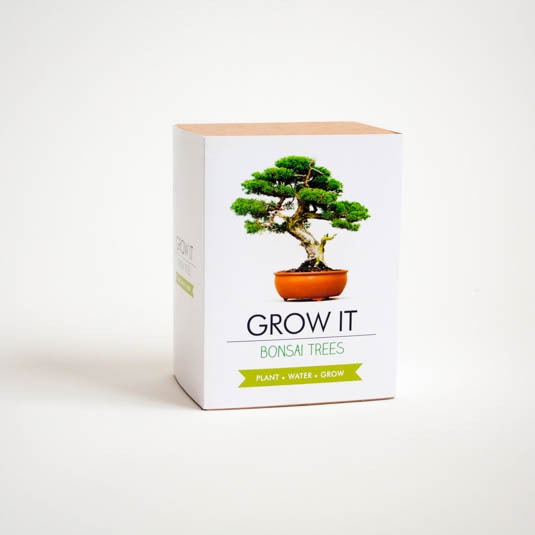 Grow It - Bonsai Tree - Gift Republic image 1