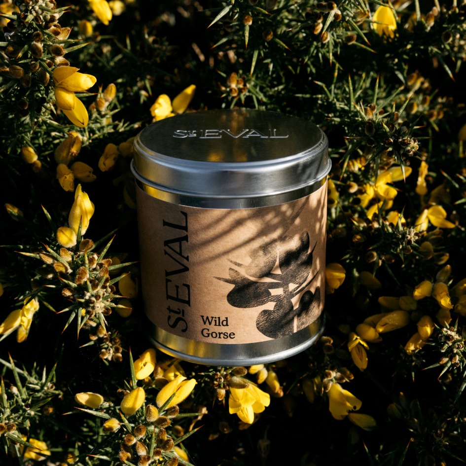 Tin Candles - Wild Gorse - St. Eval image 2