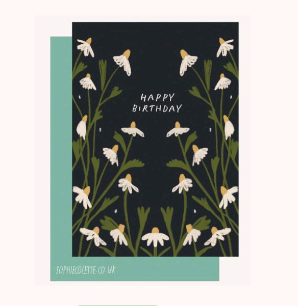 Happy Birthday Daisies Card - Sophie Colette image 1