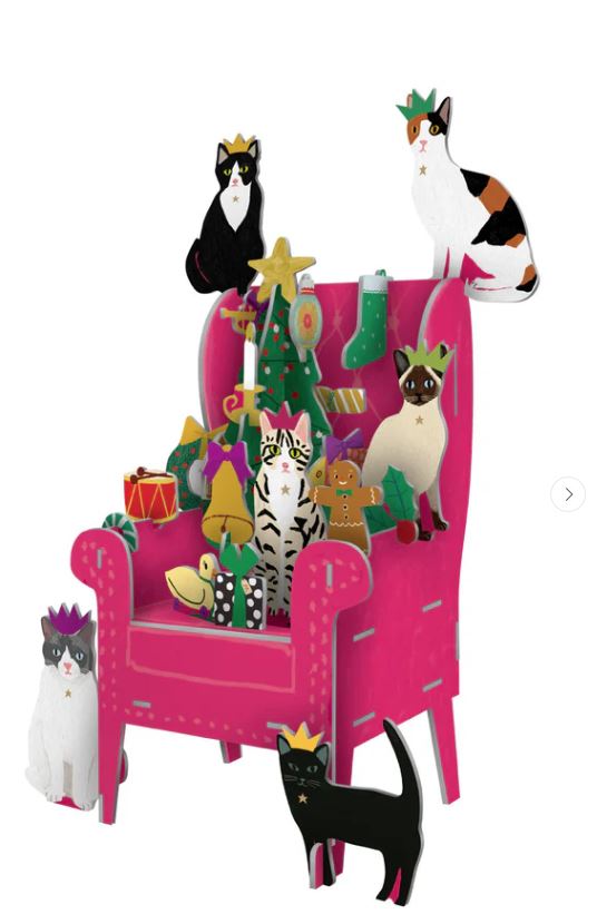Cosy Cats Large Pop & Slot Advent Calendar - Roger La Borde image 1
