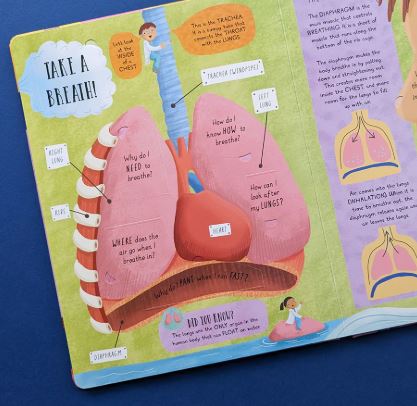 How Does The Human Body Work? Q&A Book - Robert Fredericks image 2