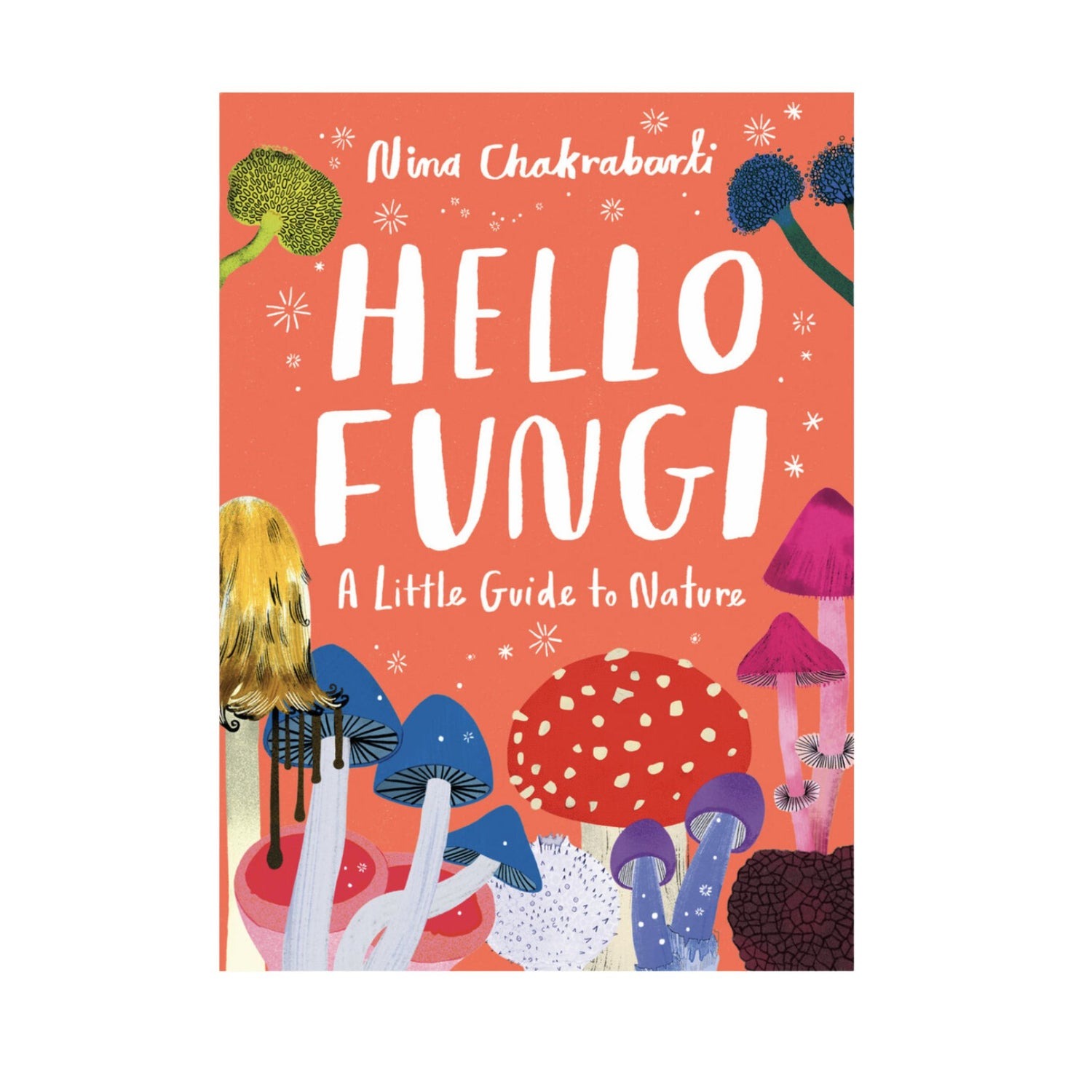 Hello Fungi - Hachette image 1