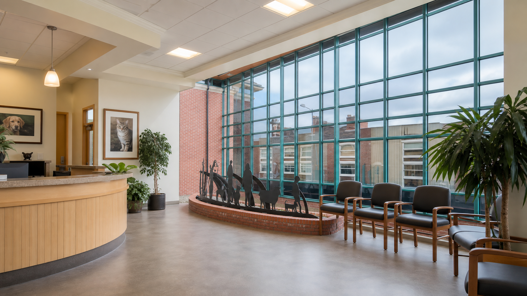Bright veterinary clinic waiting room with large windows after solar control film
