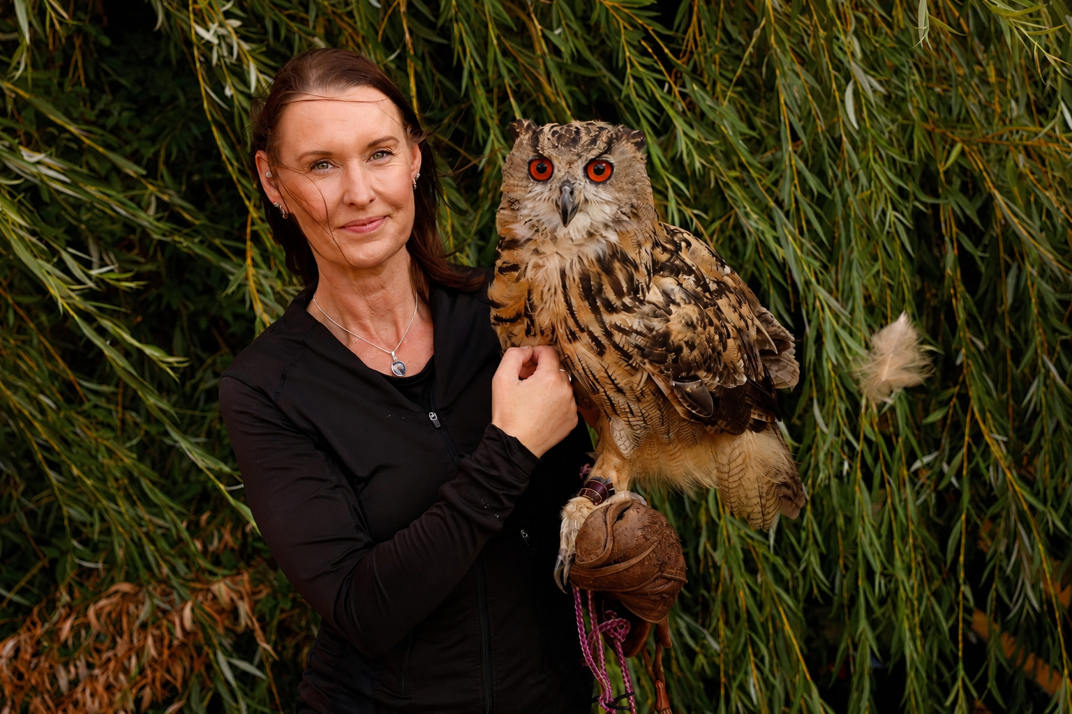 Woman in a black zip top holding an eagle owl with orange eyes on a leather falconry glove under willow branches, Owls About owl handling, North Norfolk, UK