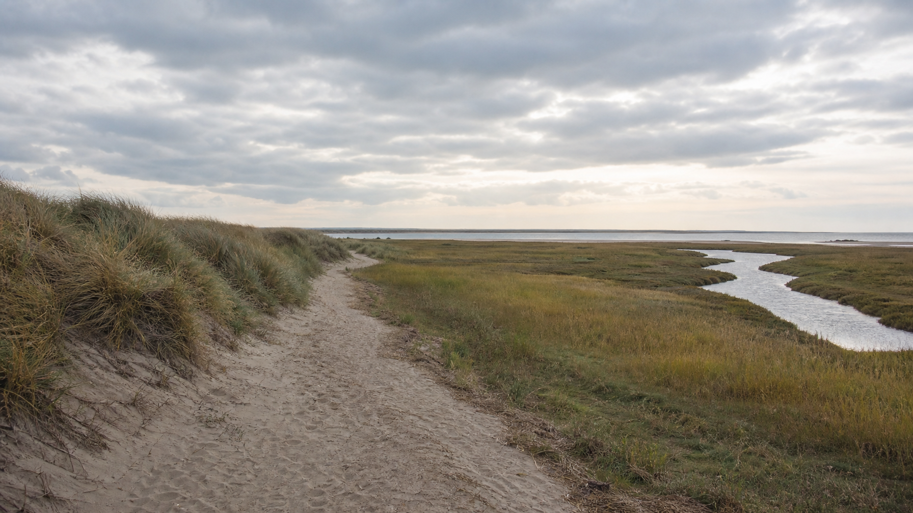 Holme Dunes style marram grass and salt marsh path, North Norfolk National Nature Reserve, UK