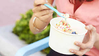 Existing High Volume Yogurt Store - New York Franchise