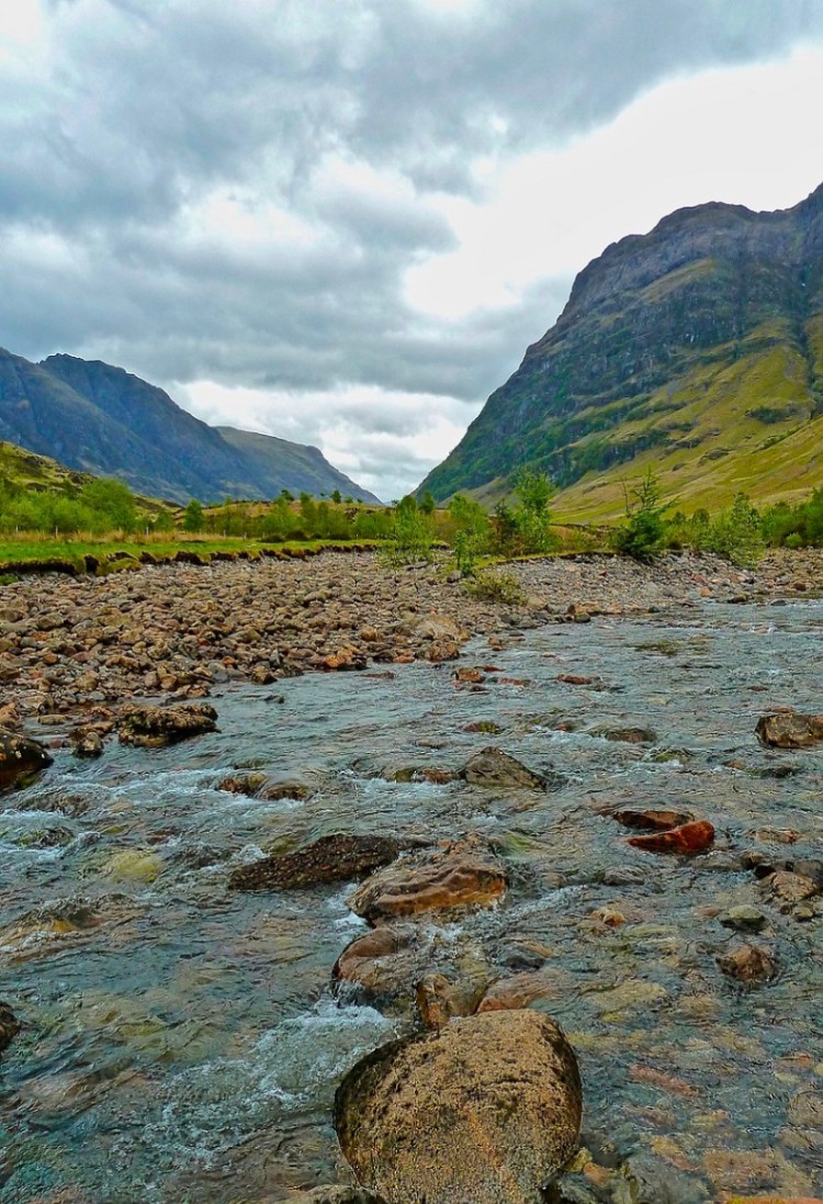 Benefits of Using Environmental Guides for Communities and Businesses