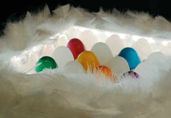 L'alcova della gallina infedele - Progetto di design di Enzo Mombrini artista