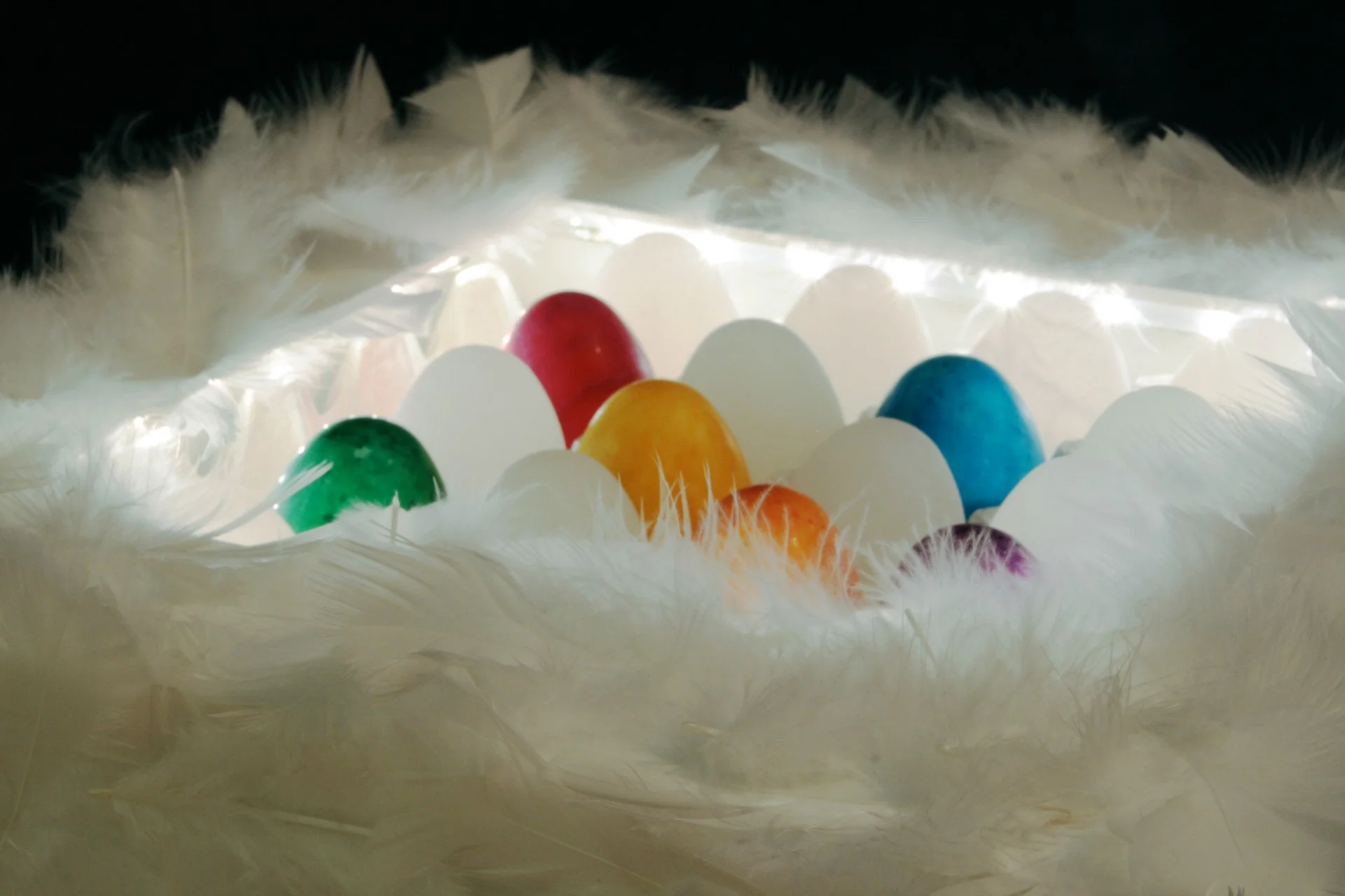 L'alcova della gallina infedele - Immagine 11