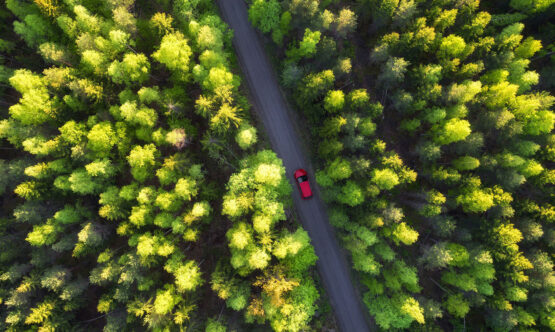 EOS Sustainability