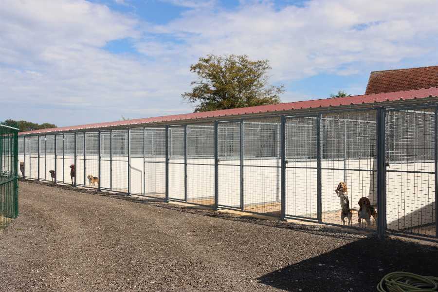 Espace élevage  Matériel pour pensions canines, les parcs à chiots - les  parcs à chiens