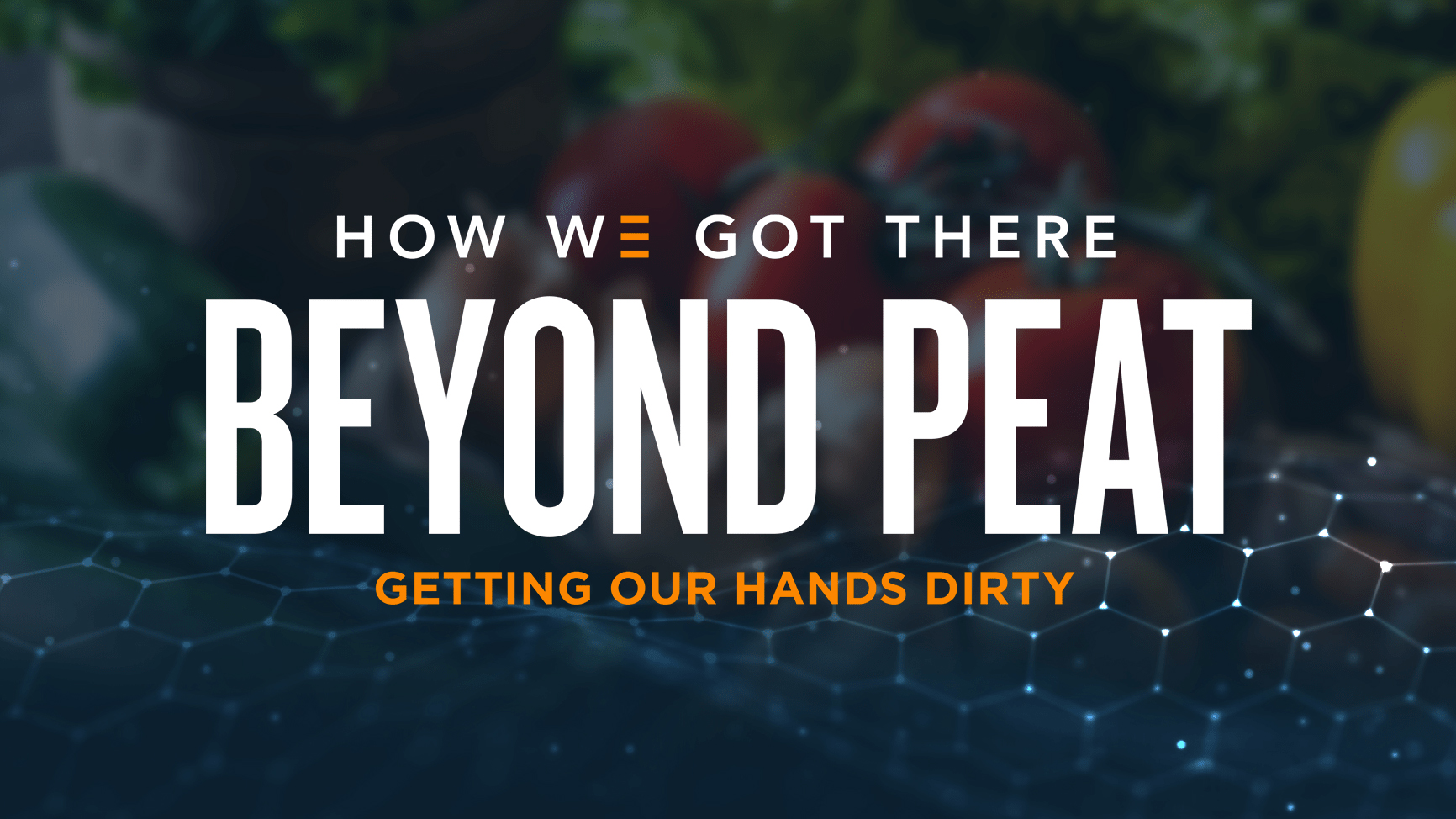 Beyond Peat, getting our hands dirty.