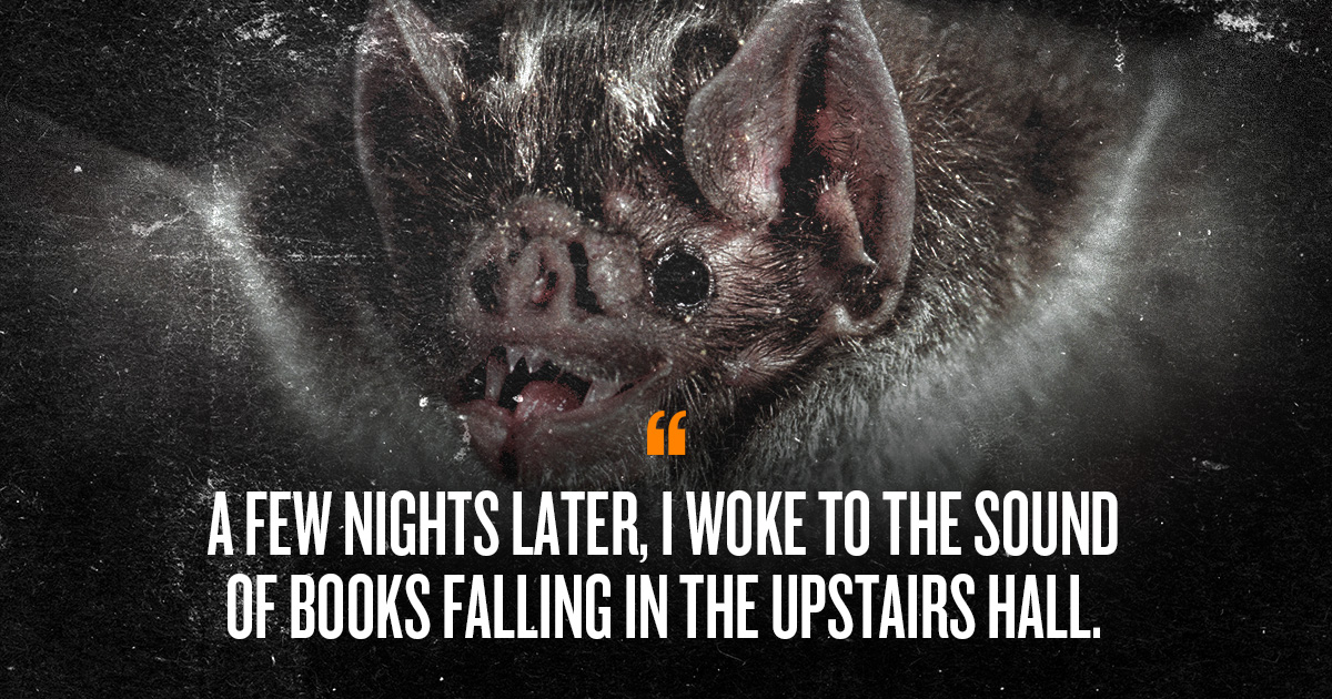An image of a bat with the quote "A few nights later, I woke to the sound of books falling in the upstairs hall."