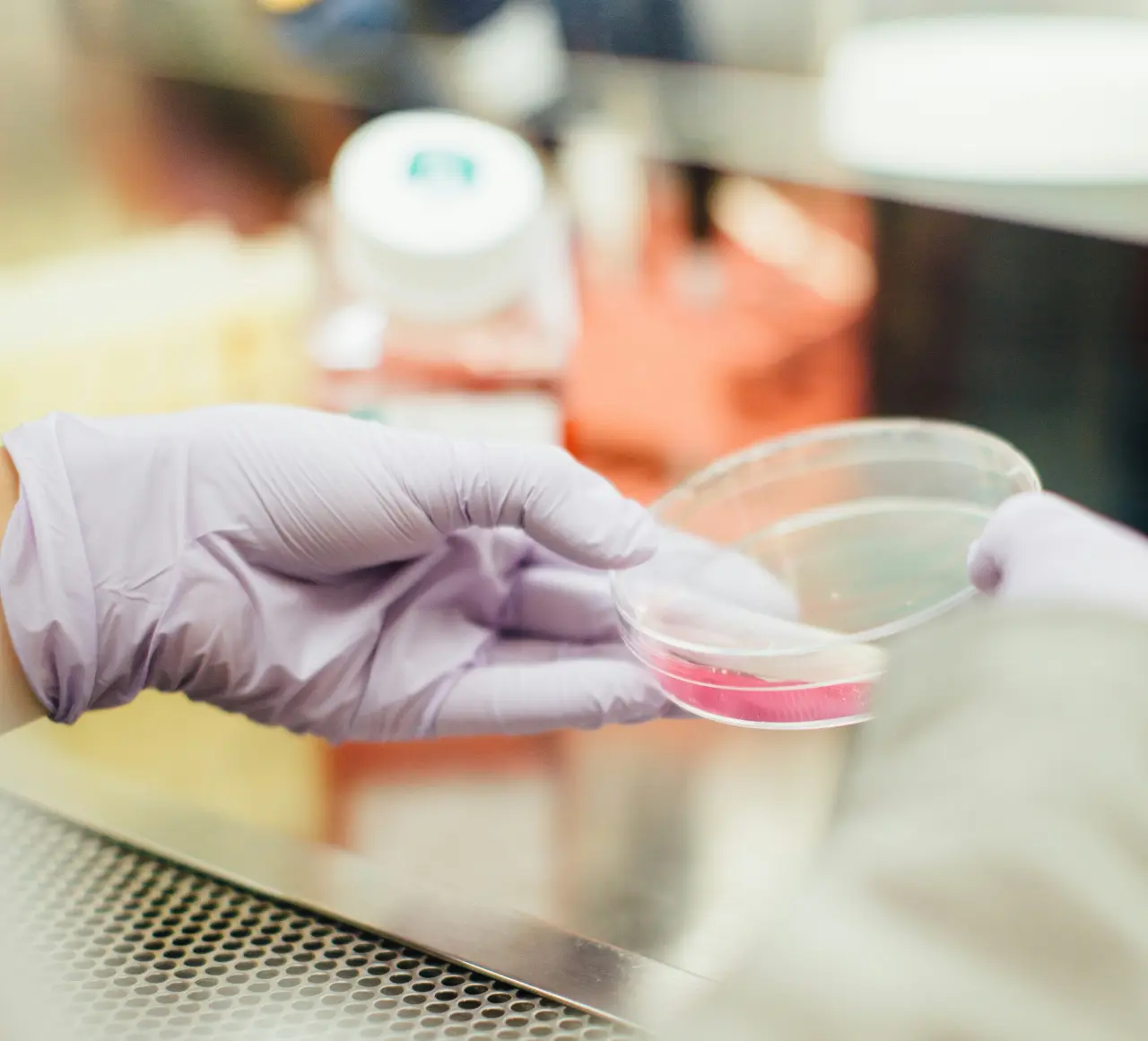 Clinical Researcher working