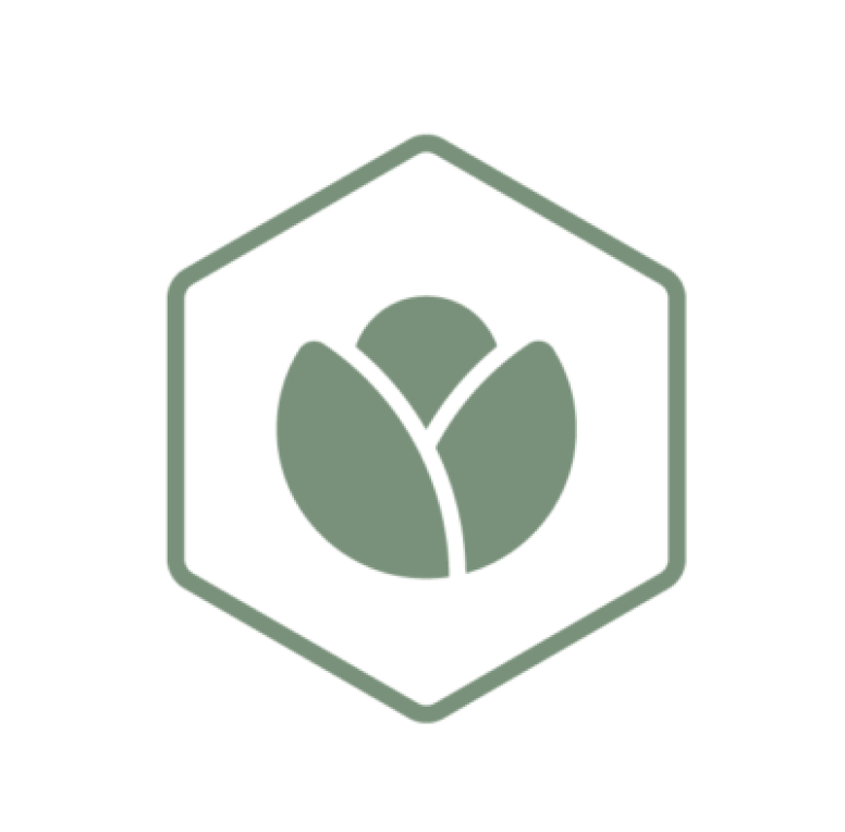 Instagreen logo - Holded Success Case