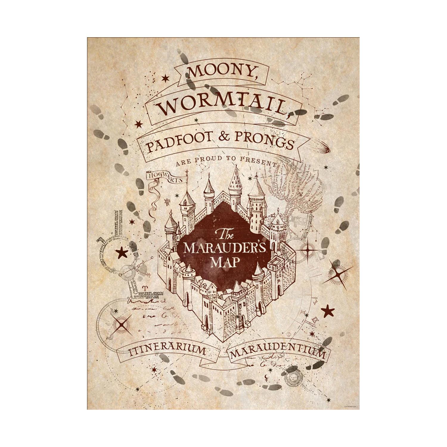 0129711.jpeg Pyramid: Harry Potter (Map And School List) Boxed Posters (52x38cm) (PPB35442)