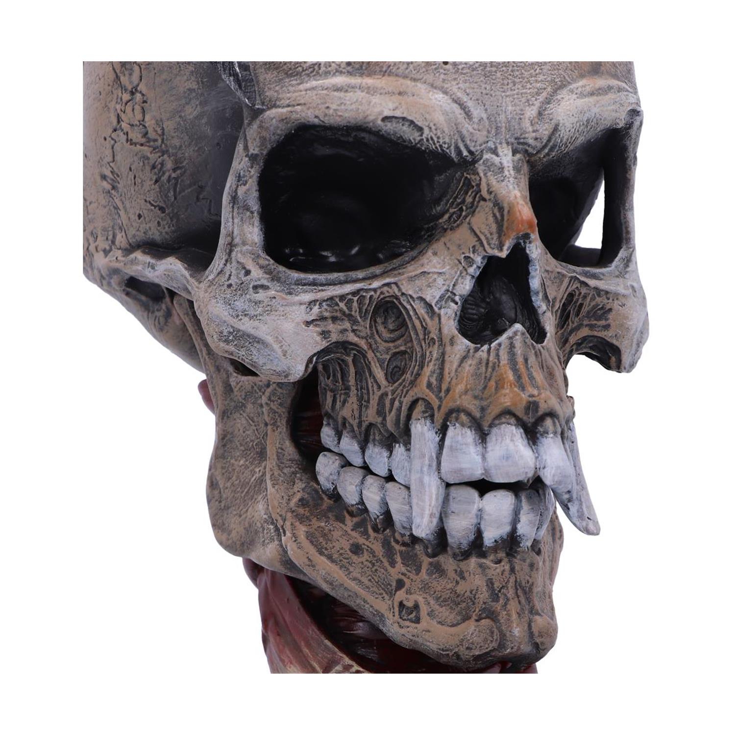 0176744.jpeg Nemesis Now: Metallica - Pushead Skull Figure(23.5cm)