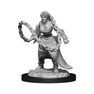 D&D Nolzur's Marvelous Miniatures - 2x Human Female Monk