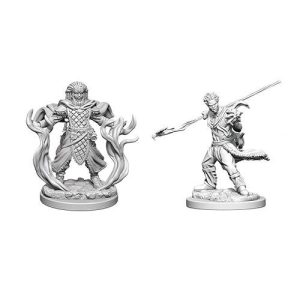 D&D Nolzur's Marvelous Miniatures - 2x Human Male Druid (With Second Form)