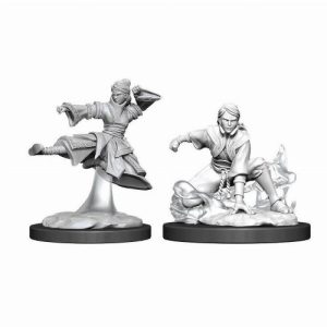 D&D Nolzur's Marvelous Miniatures - 2x Female Human Monk