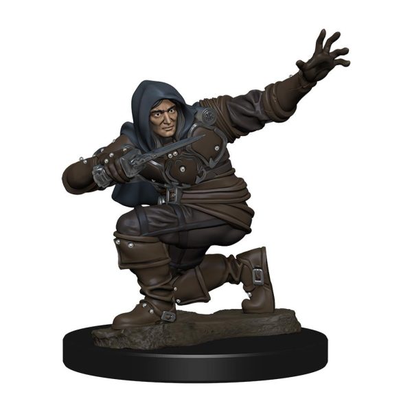 Pathfinder Deep Cuts Premium Miniature - Human Rogue Male