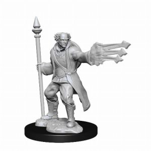 D&D Nolzur's Marvelous Miniatures - Multiclass Male Cleric & Wizard