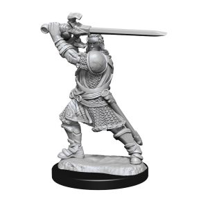 D&D Nolzur's Marvelous Miniatures - 2x Human Male Paladin