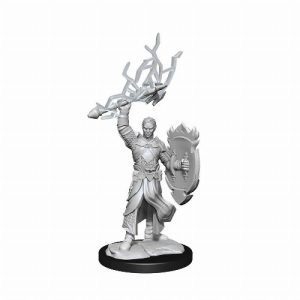 D&D Nolzur's Marvelous Miniatures - 2x Half-Elf Male Paladin